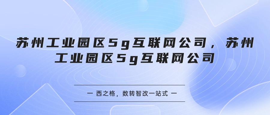 苏州工业园区5g互联网公司