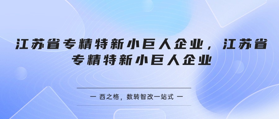江苏省专精特新小巨人企业