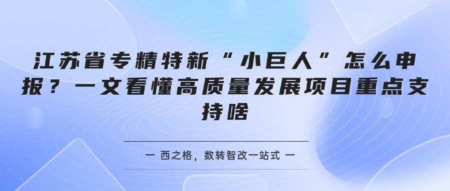 江苏省专精特新“小巨人”怎么申报？一文看懂高质量发展项目重点支持啥
