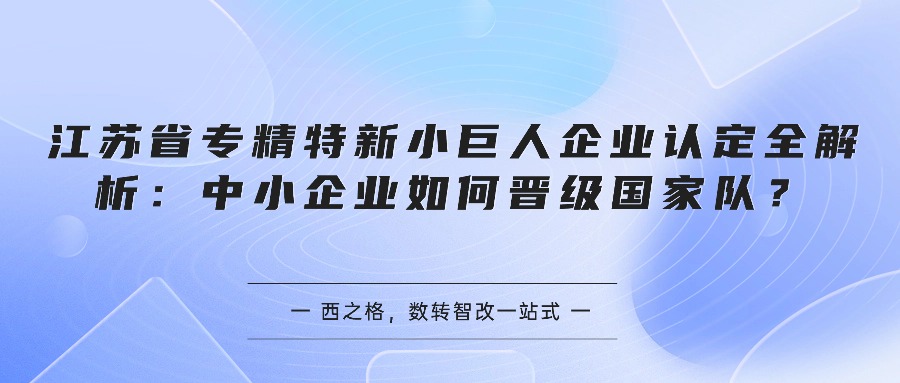 江苏省专精特新小巨人企业认定全解析:中小企业如何晋级国家队?