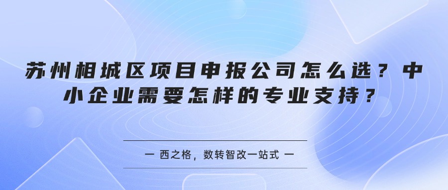 苏州相城区项目申报公司怎么选？中小企业需要怎样的专业支持？
