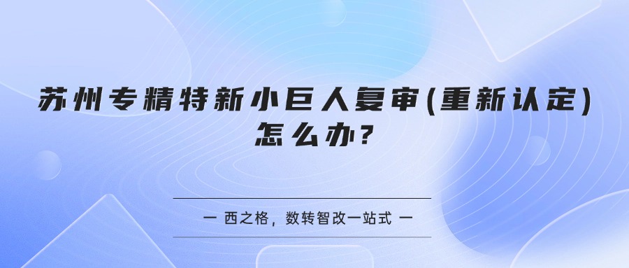 苏州专精特新小巨人复审(重新认定)怎么办?