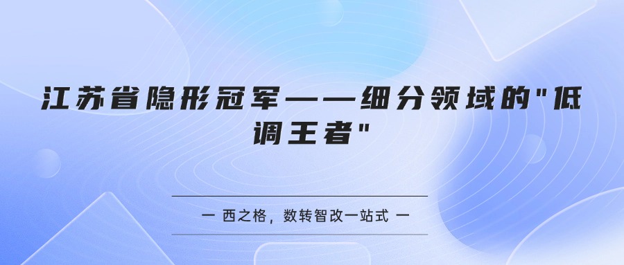 江苏省隐形冠军——细分领域的"低调王者"