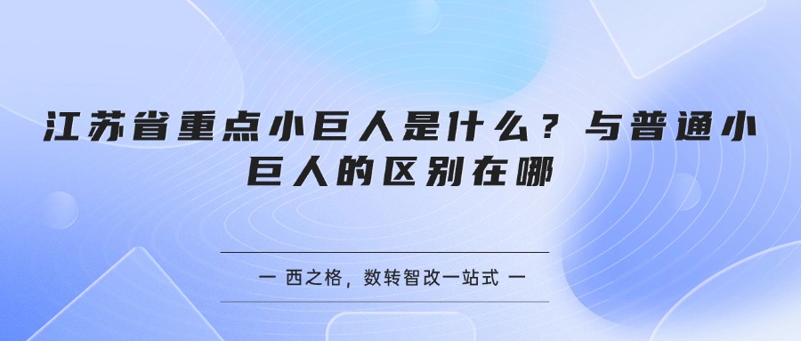 江苏省重点小巨人是什么？与普通小巨人的区别在哪