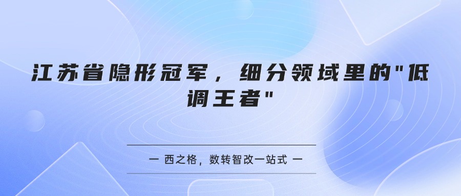 江苏省隐形冠军，细分领域里的"低调王者"