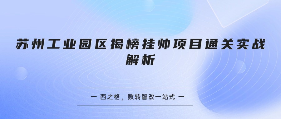 苏州工业园区揭榜挂帅项目通关实战解析